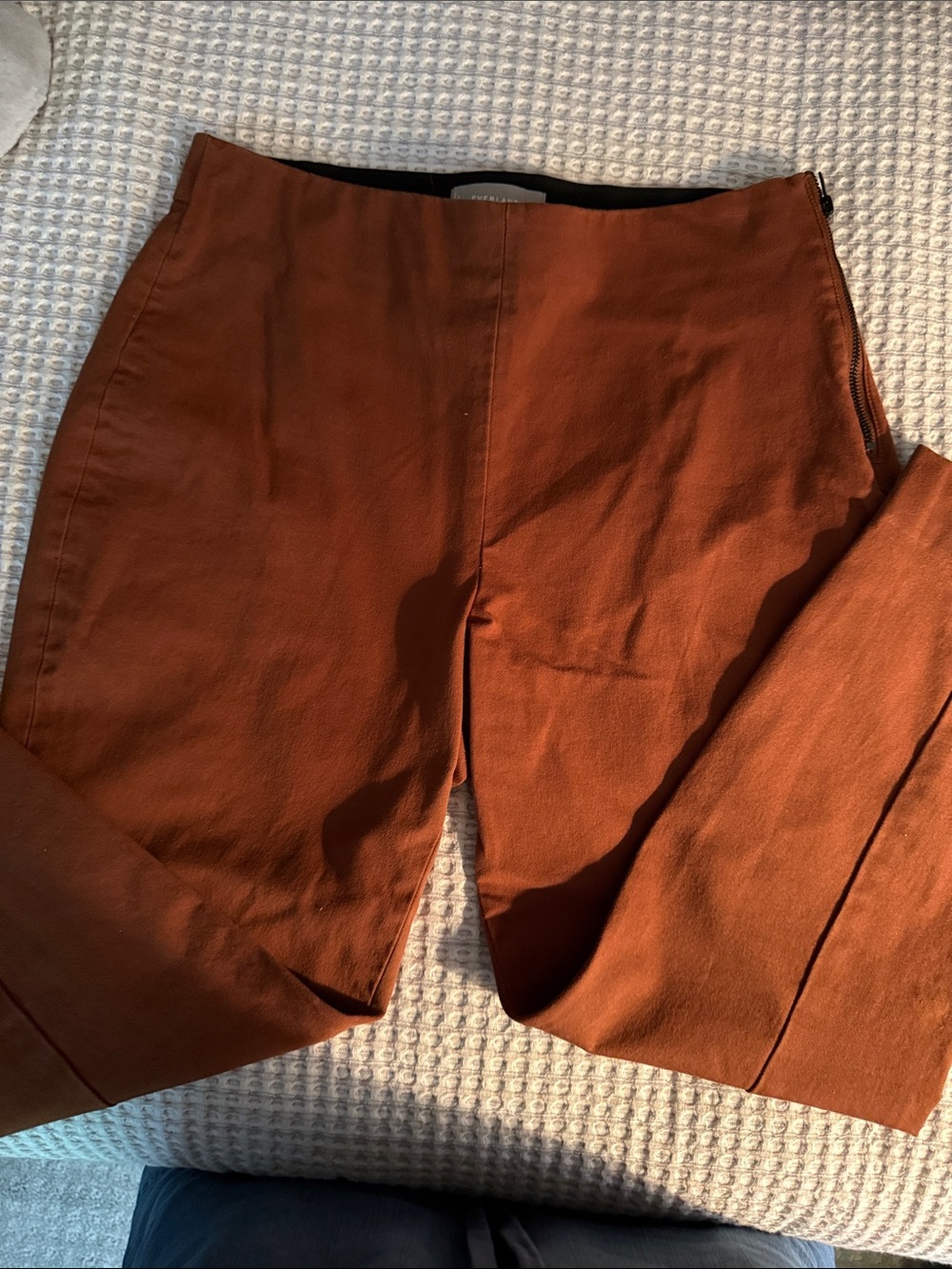 Everlane side zip pants in size 10. Color is rust.